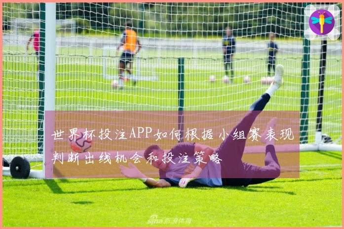 世界杯投注APP如何根据小组赛表现判断出线机会和投注策略