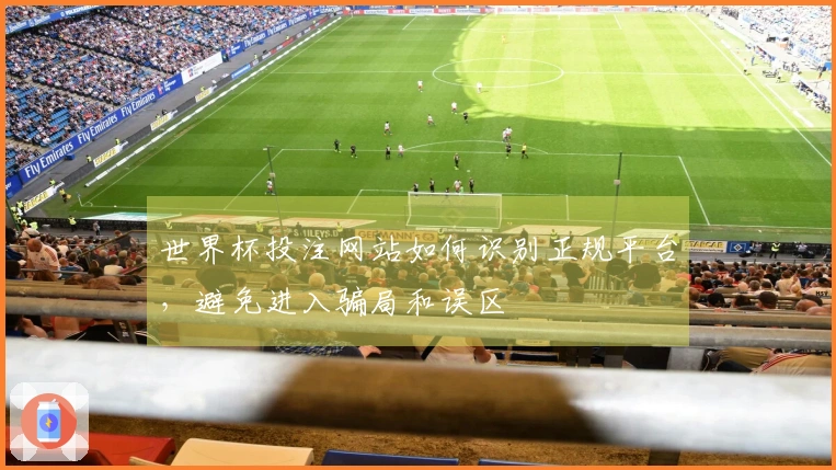 世界杯投注网站如何识别正规平台，避免进入骗局和误区