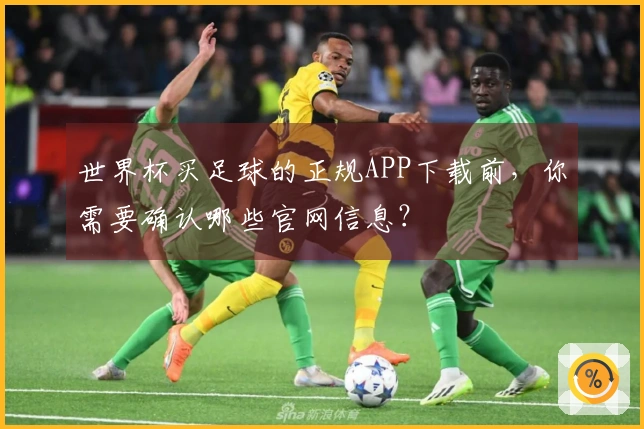 世界杯买足球的正规APP下载前，你需要确认哪些官网信息？