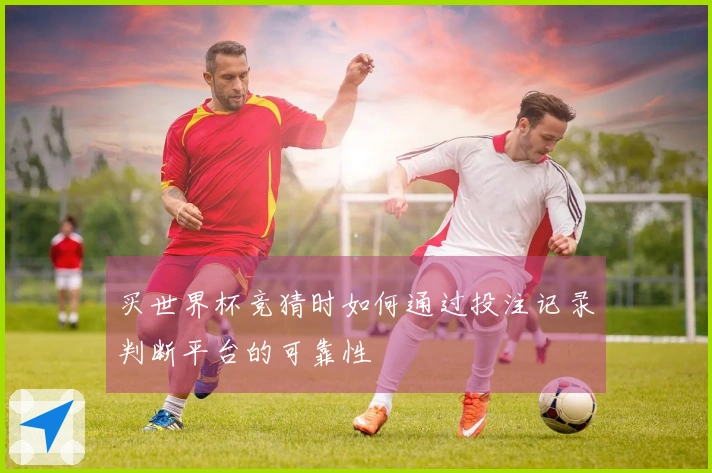 买世界杯竞猜时如何通过投注记录判断平台的可靠性