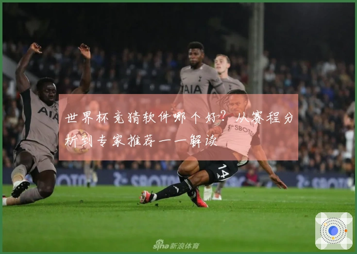 世界杯竞猜软件哪个好?从赛程分析到专家推荐一一解读