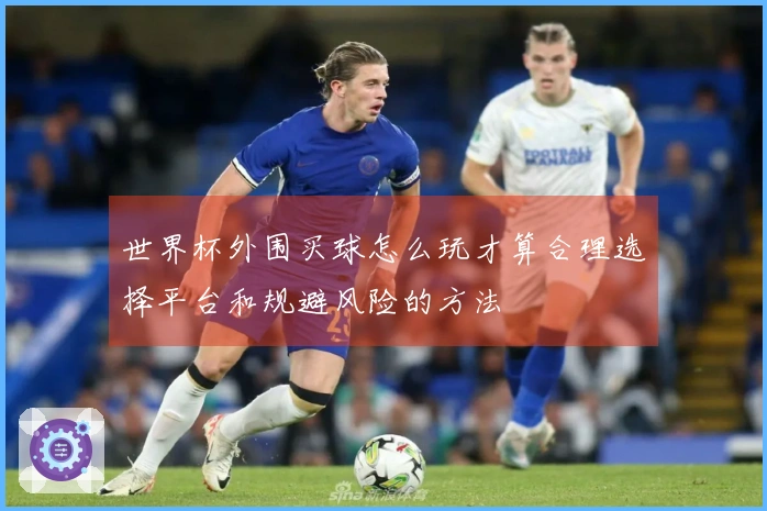 世界杯外围买球怎么玩才算合理选择平台和规避风险的方法