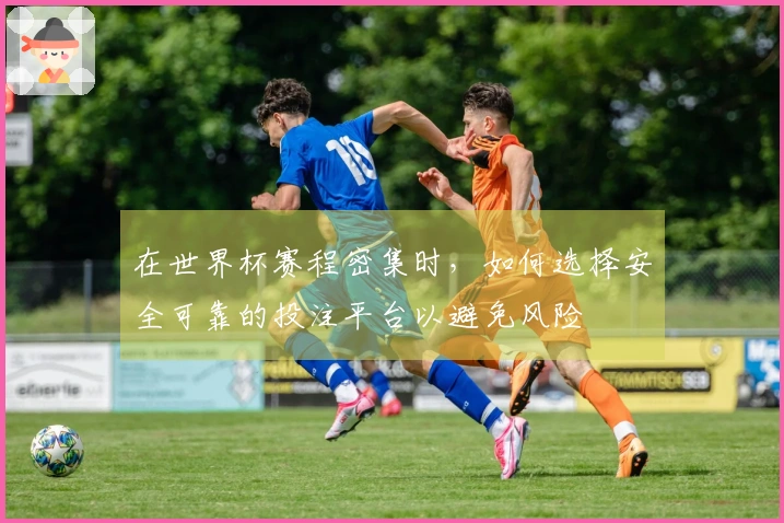 在世界杯赛程密集时，如何选择安全可靠的投注平台以避免风险
