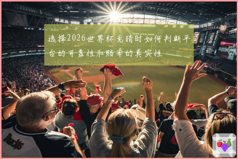 选择2026世界杯竞猜时如何判断平台的可靠性和赔率的真实性
