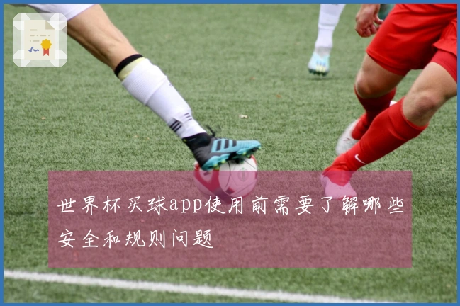 世界杯买球app使用前需要了解哪些安全和规则问题