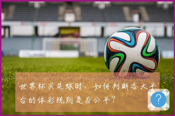 世界杯买足球时，如何判断各大平台的体彩规则是否公平？