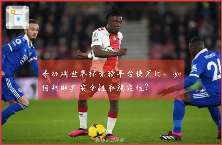手机端世界杯竞猜平台使用时，如何判断其安全性和稳定性？