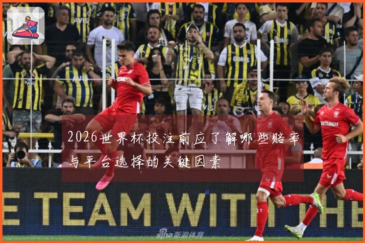 2026世界杯投注前应了解哪些赔率与平台选择的关键因素