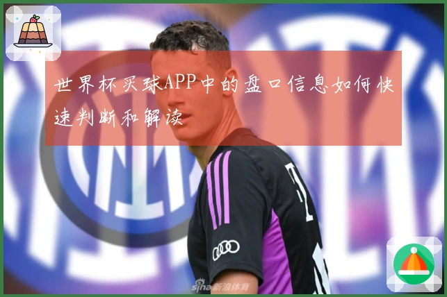 世界杯买球APP中的盘口信息如何快速判断和解读