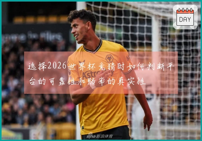选择2026世界杯竞猜时如何判断平台的可靠性和赔率的真实性