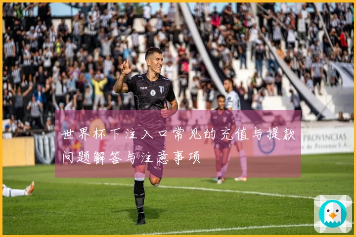 世界杯下注入口常见的充值与提款问题解答与注意事项