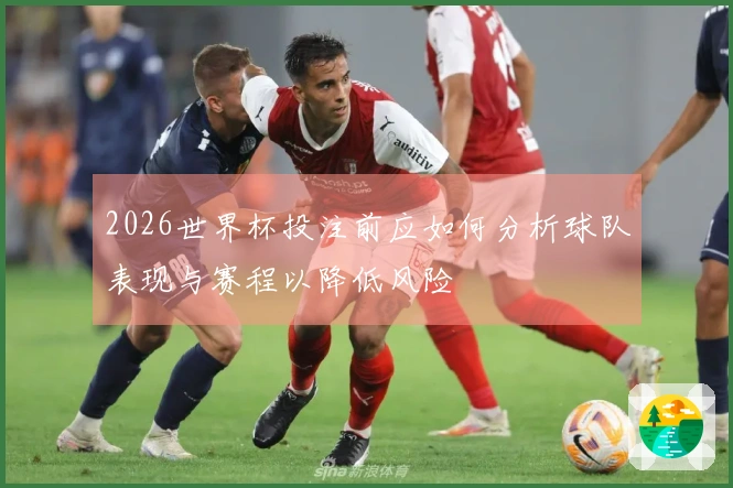 2026世界杯投注前应如何分析球队表现与赛程以降低风险