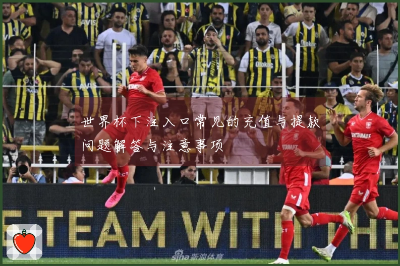 世界杯下注入口常见的充值与提款问题解答与注意事项