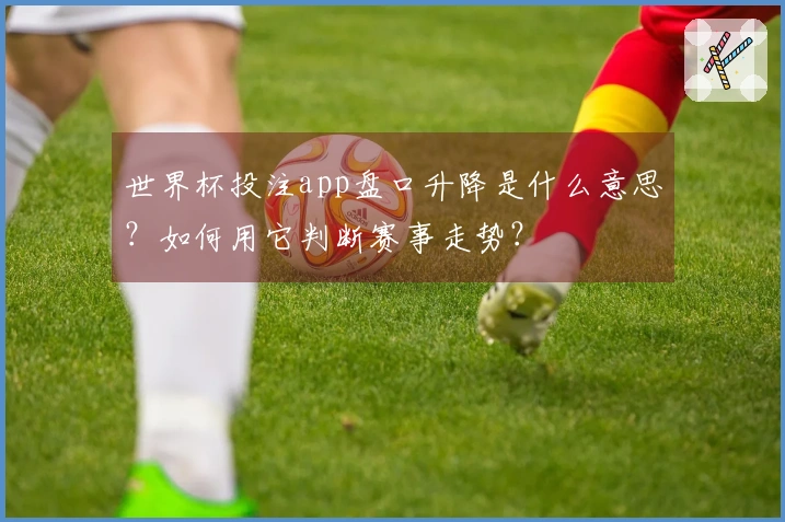 世界杯投注app盘口升降是什么意思？如何用它判断赛事走势？