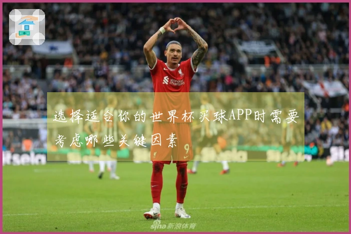 选择适合你的世界杯买球APP时需要考虑哪些关键因素